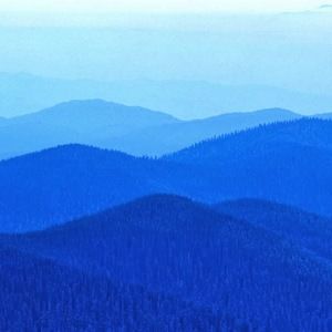 Meet your Posher, Shandra